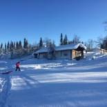 Фотография кемпинга Arctic Paradise