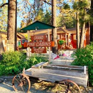 Фотографии мини отеля 
            Grand Pine Cabins