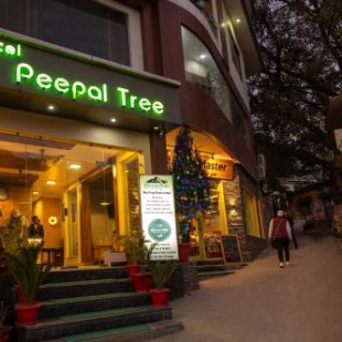 Фотография гостиницы Hotel Peepal Tree