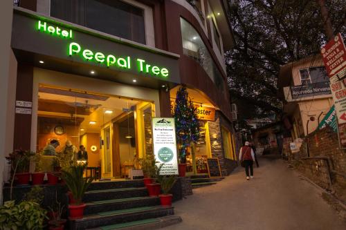 Фотографии гостиницы 
            Hotel Peepal Tree