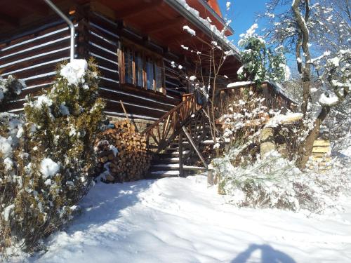 Фотография гостевого дома Chałupa z widokiem w górach