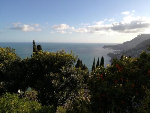 Фотография мини отеля La Bombonière & Spa