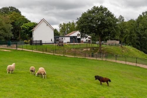 Фотография гостевого дома Naanhover Beemden