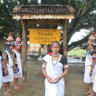 Фотография гостиницы Tharu Community Lodge