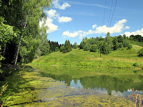 Природа нижегородской области фото Фотографии Ивашево Вачского района Нижегородской области