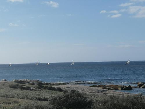 Фотография гостевого дома Forever Blue