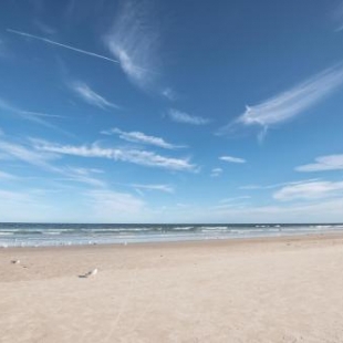 Фотография мини отеля Endless Summer in Downtown St. Augustine