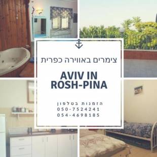 Фотографии гостевого дома 
            Aviv in Rosh Pina