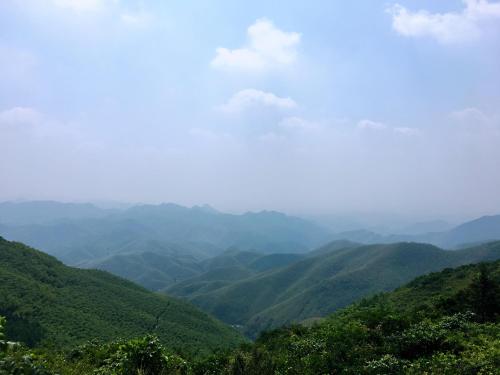 Фотография мини отеля Moganshan Bamboo View Guesthouse