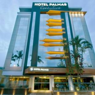 Фотографии гостиницы 
            Hotel Palmas Executivo