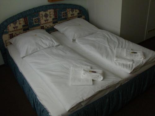 Фотография гостиницы Hotel Sturm