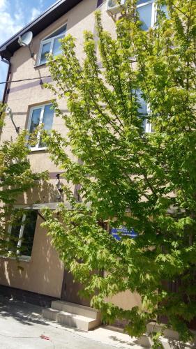 Фотография гостевого дома На Цветочной