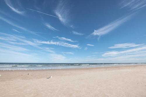 Фотографии мини отеля 
            Endless Summer in Downtown St. Augustine