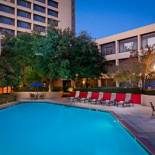 Фотография гостиницы Dallas/Fort Worth Airport Marriott