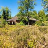 Фотография гостевого дома Landhaus mitten in der Lüneburger Heide