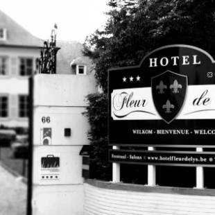 Фотографии гостиницы 
            Hotel Fleur de Lys