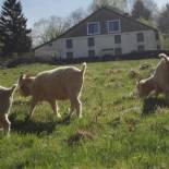 Фотография гостевого дома La Ferme sous les Hiez