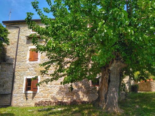 Фотография мини отеля B&B al Merlo Olivo