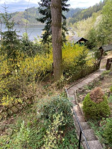 Фотография гостевого дома Wald See Glück