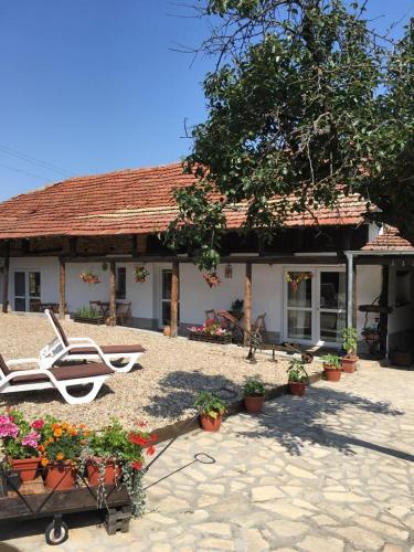 Фотография гостевого дома Sunflower Guest House Bulgaria
