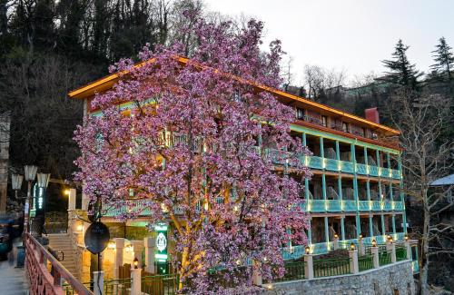 Фотография гостиницы Hotel Magnolia