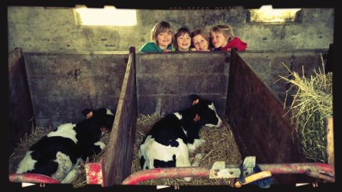 Фотография базы отдыха De Grote Linde