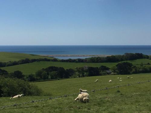 Фотография гостевого дома Clayhanger Lodge