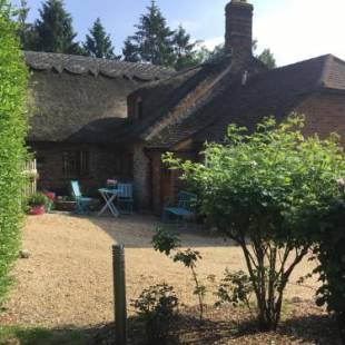 Фотографии базы отдыха 
            Thatched Cottage