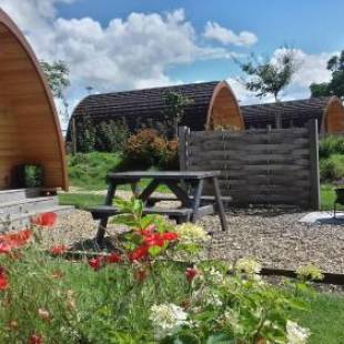 Фотографии базы отдыха 
            Willowherb Glamping Pod