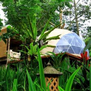 Фотографии кемпинга 
            Bali Jungle Camping