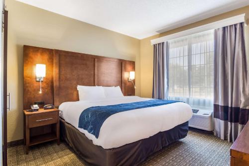 Фотография гостиницы Comfort Suites