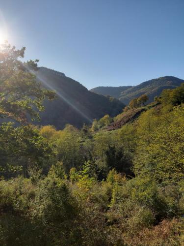 Фотография гостевого дома Sweet village house