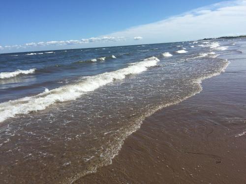 Фотография гостевого дома Seaside chalet