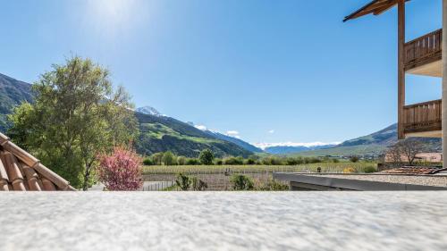 Фотография гостиницы Vinschgerhof