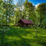 Фотография гостевого дома Silent Orchard