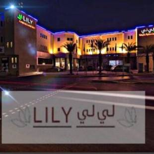 Фотографии апарт отеля 
            Lily Hotel Suite Mubarraz