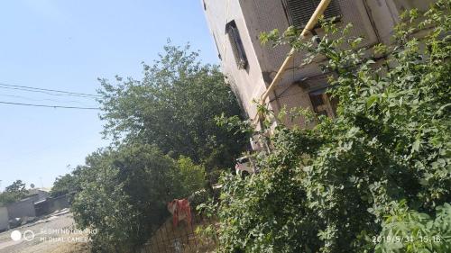 Фотография хостела Pride