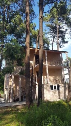 Фотография гостевого дома Philly