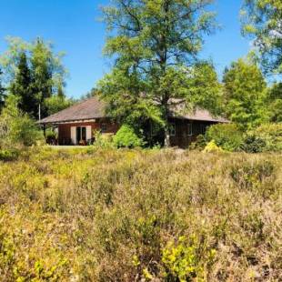 Фотографии гостевого дома 
            Landhaus mitten in der Lüneburger Heide