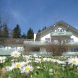 Фотография гостиницы Hotel Landhaus Waldesruh