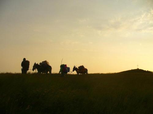 Фотография гостевого дома Ciuchi House