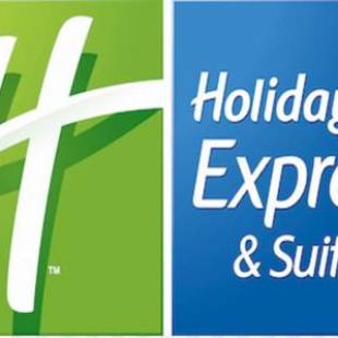 Фотографии гостиницы 
            Holiday Inn Express & Suites - Ann Arbor - University South, an IHG Hotel