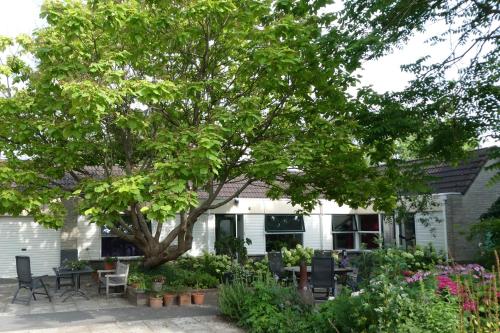 Фотографии гостевого дома 
            Huis bij de Catalpa