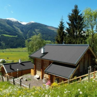 Фотография гостевого дома Die Lengalm Hütten I & II mit Sauna