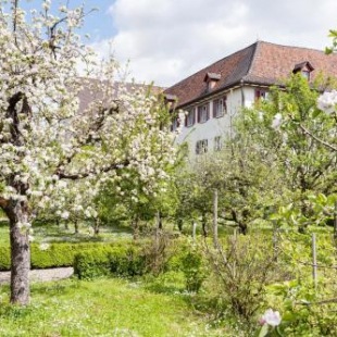 Фотография гостевого дома Kloster Dornach / Basel