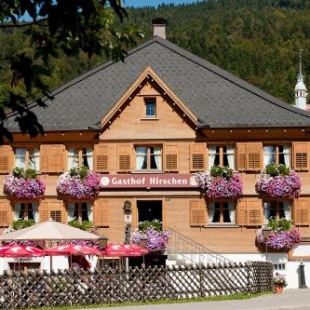 Фотография гостиницы Hotel Gasthof Hirschen