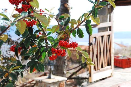 Фотография гостевого дома Vernon Villa Stone 1887