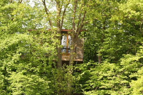 Фотографии гостевого дома 
            Baumhaus auf dem Kellerberg