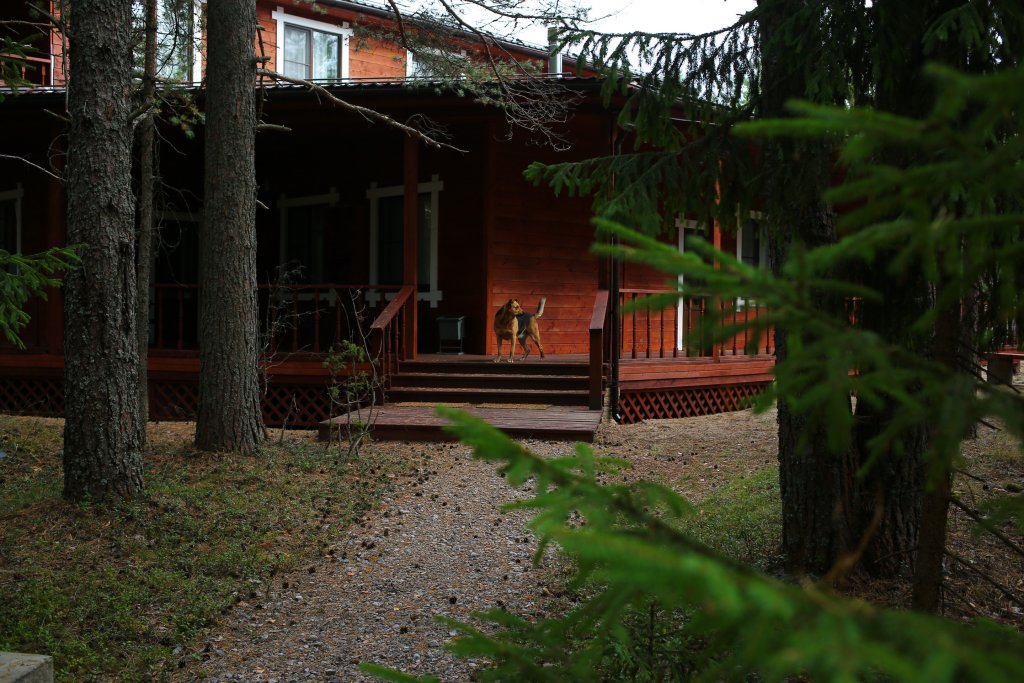 Фотография базы отдыха База отдыха Усадьба на Шамокше