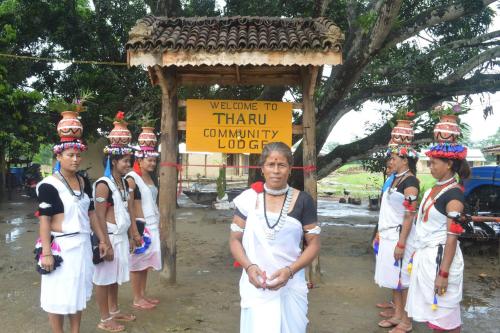 Фотографии гостиницы 
            Tharu Community Lodge